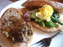 ゼルコバ 034.jpg