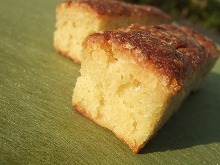 ゼルコバ 050.jpg