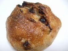 ゼルコバ 052.jpg