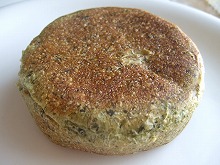 ゼルコバ 074.jpg