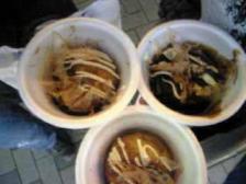 ｼﾞｬﾝﾎﾞたこ焼き