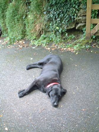 サンデーランチ2