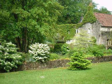 StonEaston8