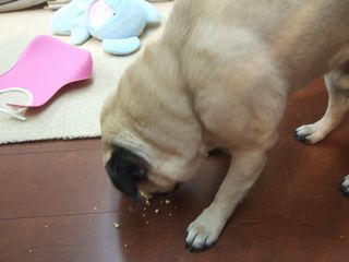2010_022520060035.jpg