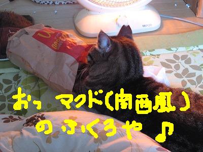 091115 082.jpg