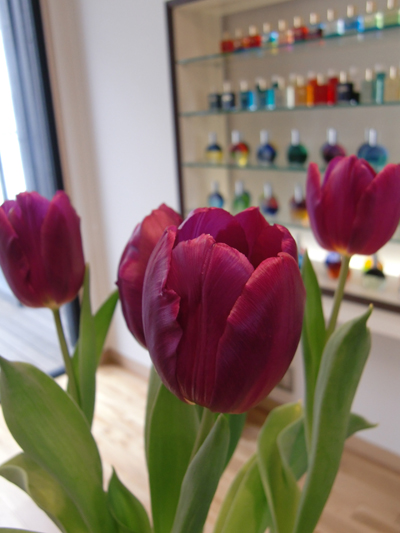 チューリップ２.jpg