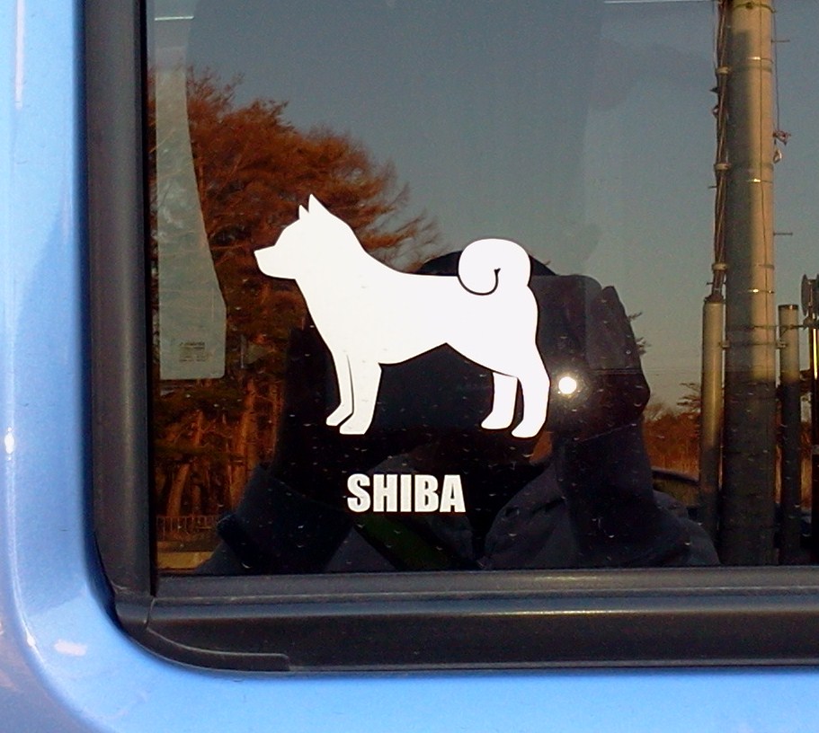 shiba.jpg