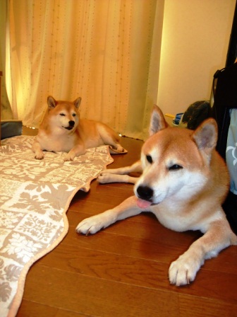 DSCF2558.JPG