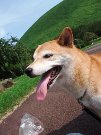 DSCF4683.JPG