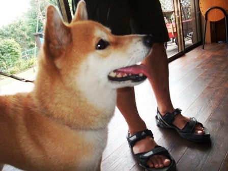 DSCF4693.JPG