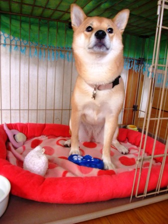 DSCF2850.JPG