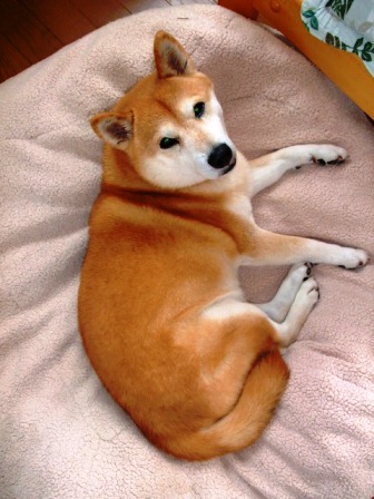 DSCF2844.JPG