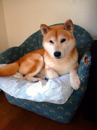 DSCF2705.JPG