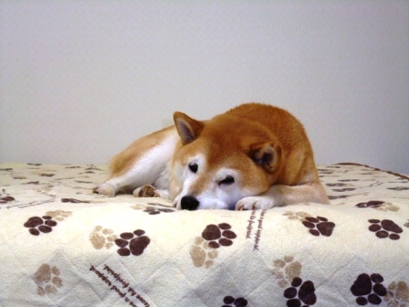 DSCF2541.JPG