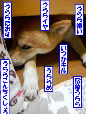 DSCF2323.JPG