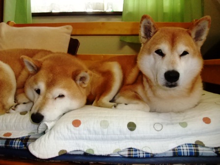 DSCF3209.JPG