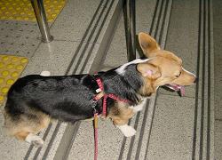 20060722_38.jpg