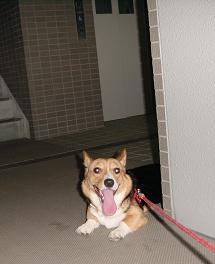 20060722_54.jpg
