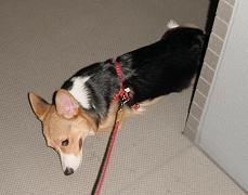 20060722_61.jpg