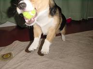 20060920_46.jpg