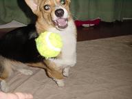 20060920_47.jpg