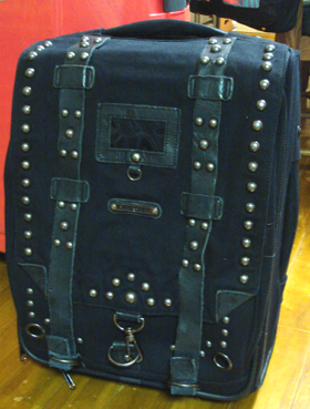 ﾃﾞｨｰｾﾞﾙ