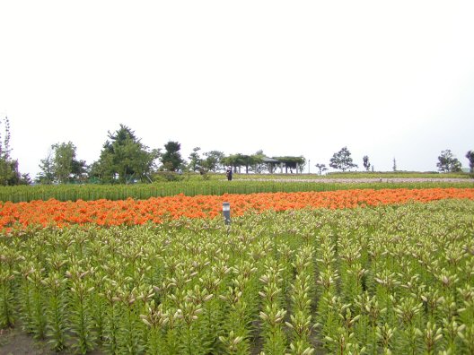 画像 025楽天用.jpg