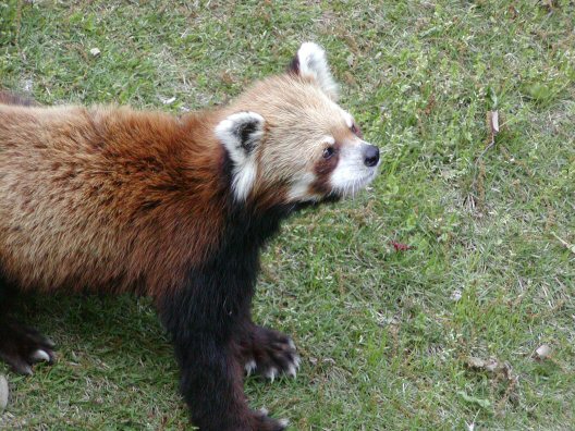 画像 021楽天用.jpg