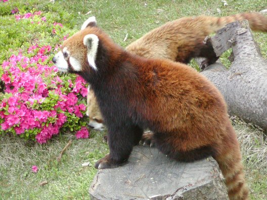 画像 029楽天用.jpg