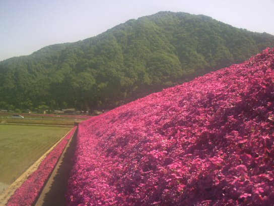 画像 020楽天用.jpg