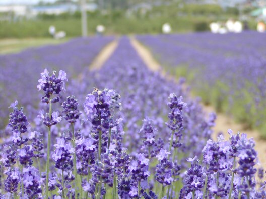 画像 023楽天用.jpg