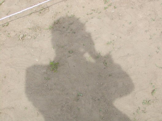 画像 026楽天用.jpg