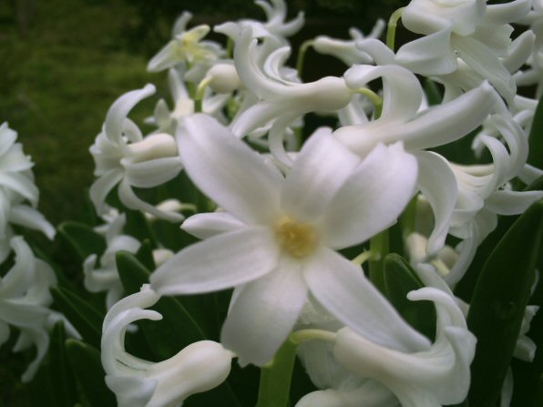 画像 021楽天用.jpg