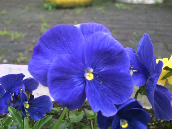 画像 030楽天用.jpg