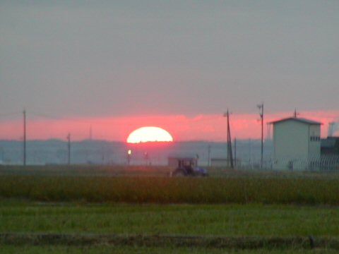 夕日２・楽天用.jpg
