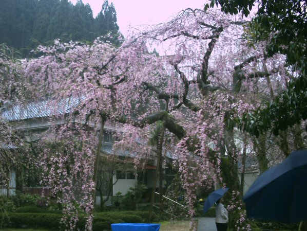 画像 043楽天用.jpg