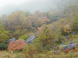 DSCF1003.jpg