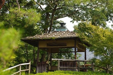 s-IMGP3921.jpg
