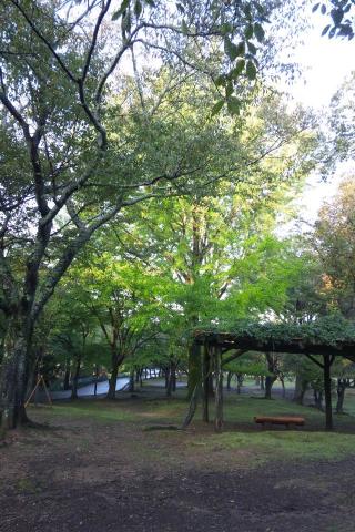 早朝散歩４.JPG