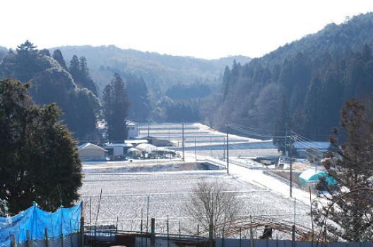 裏山からの風景