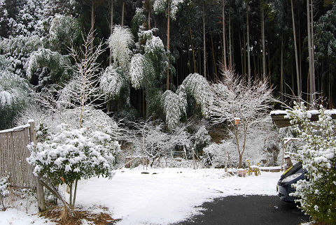 雪の庭