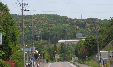 滝団地東の山