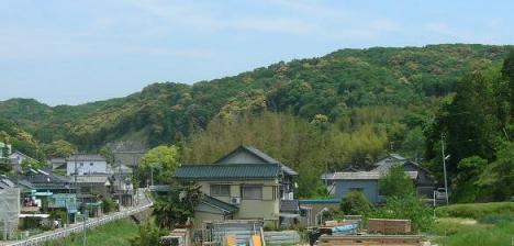 箱柳町の山