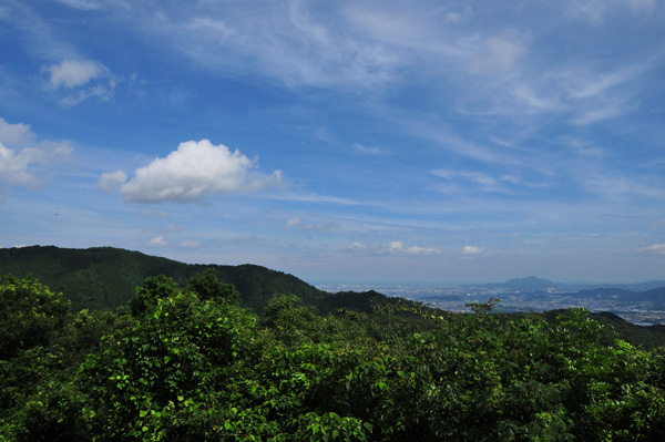 立花山遠望