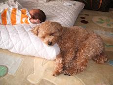 2007.10.12いじけ虫るな