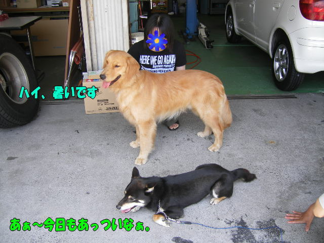 サスケ２
