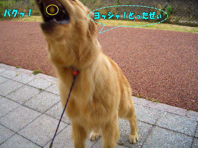 おやつ４