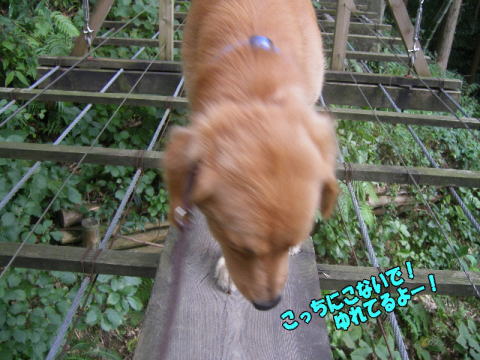 0926-4.jpg