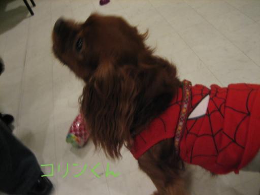 080608 069.jpg