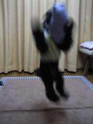 080326 012.jpg